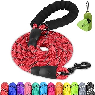 Joytale Dog Leash for Large Dogs, Heavy Duty Nylon Leashes with Comfortable Padded Handle and Highly Reflective Threads, Ideal for Walking and Training, Red, 6'×1/2''