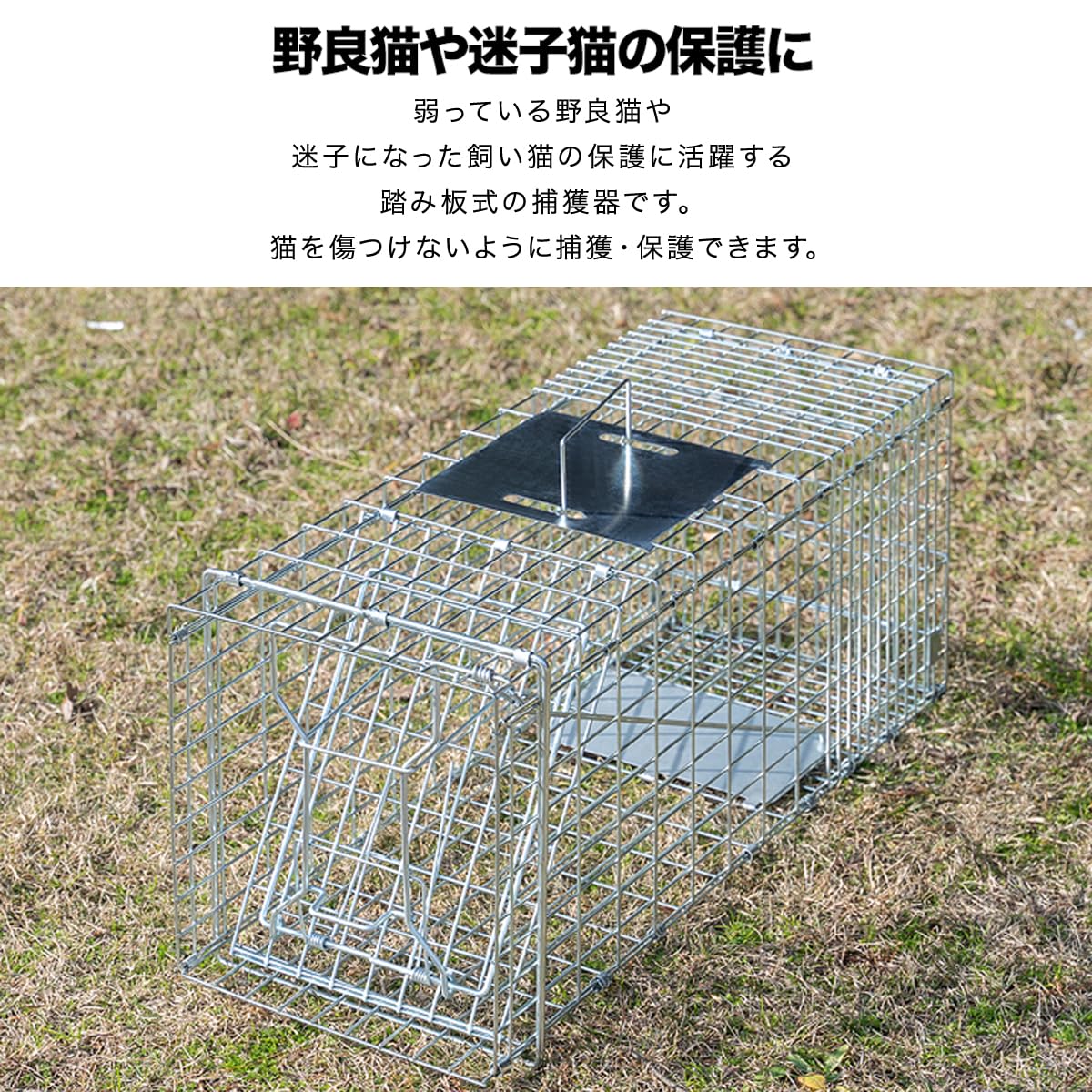 Amazon.co.jp: ottostyle.jp 動物用捕獲器 アニマルトラップ 踏み板式 