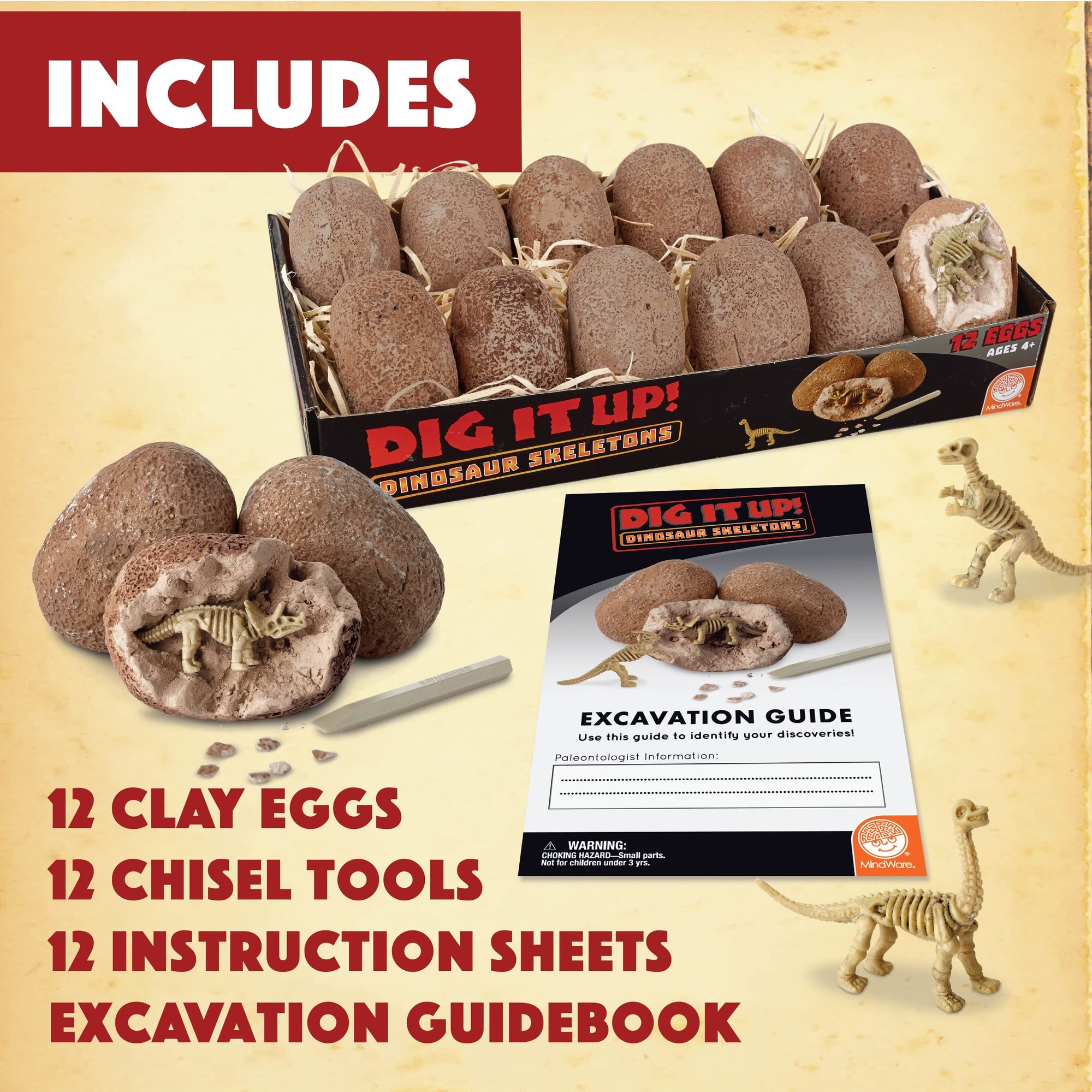 MindWare Dig It Up! Dinosaur Skeleton Eggs Excavation kit - Comes with 12 Clay Eggs, 12 Chisel Tools and 12 Instruction Sheets - Image 5