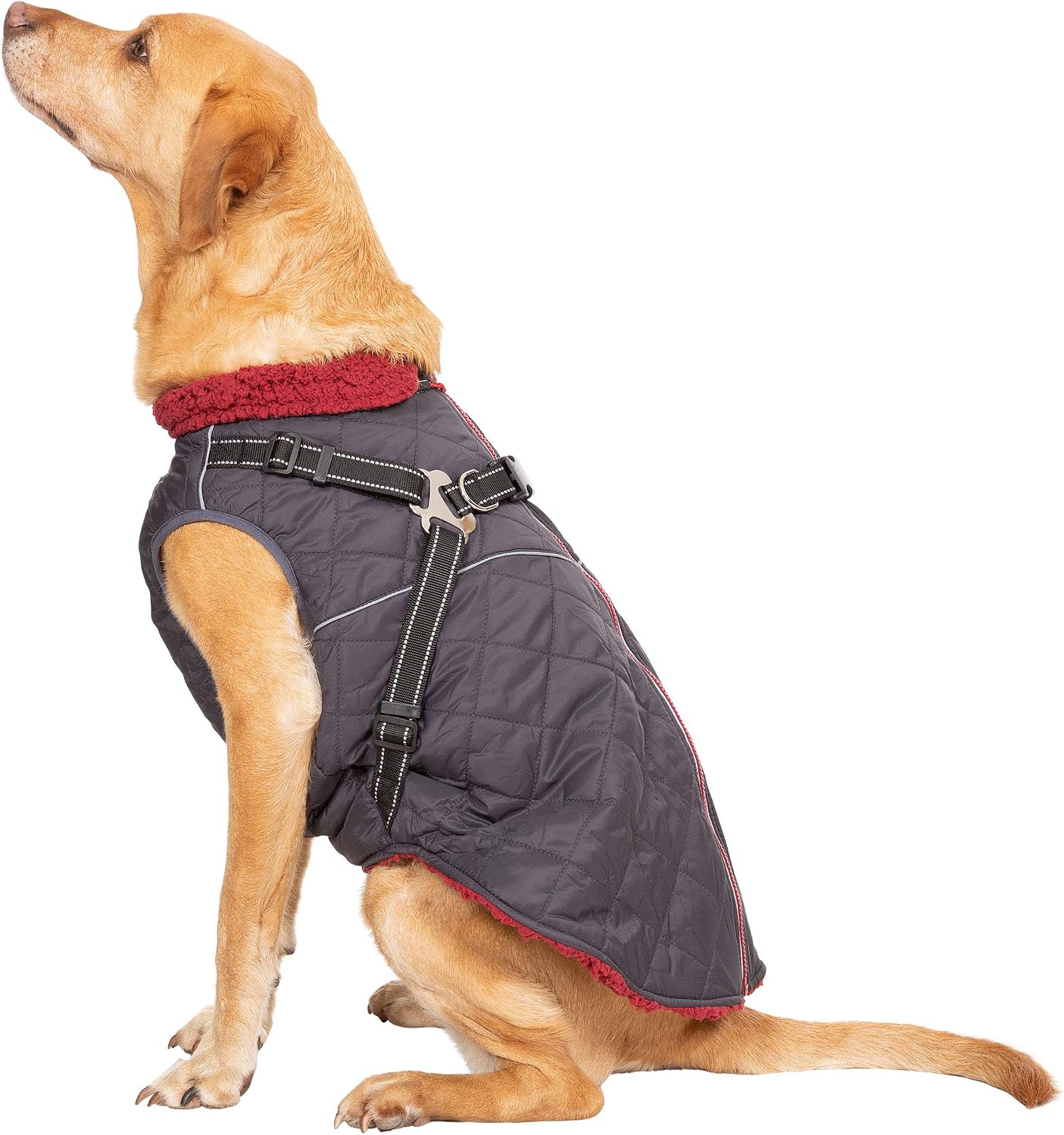 Hercules Windproof 2 in 1 Dog Coat 
