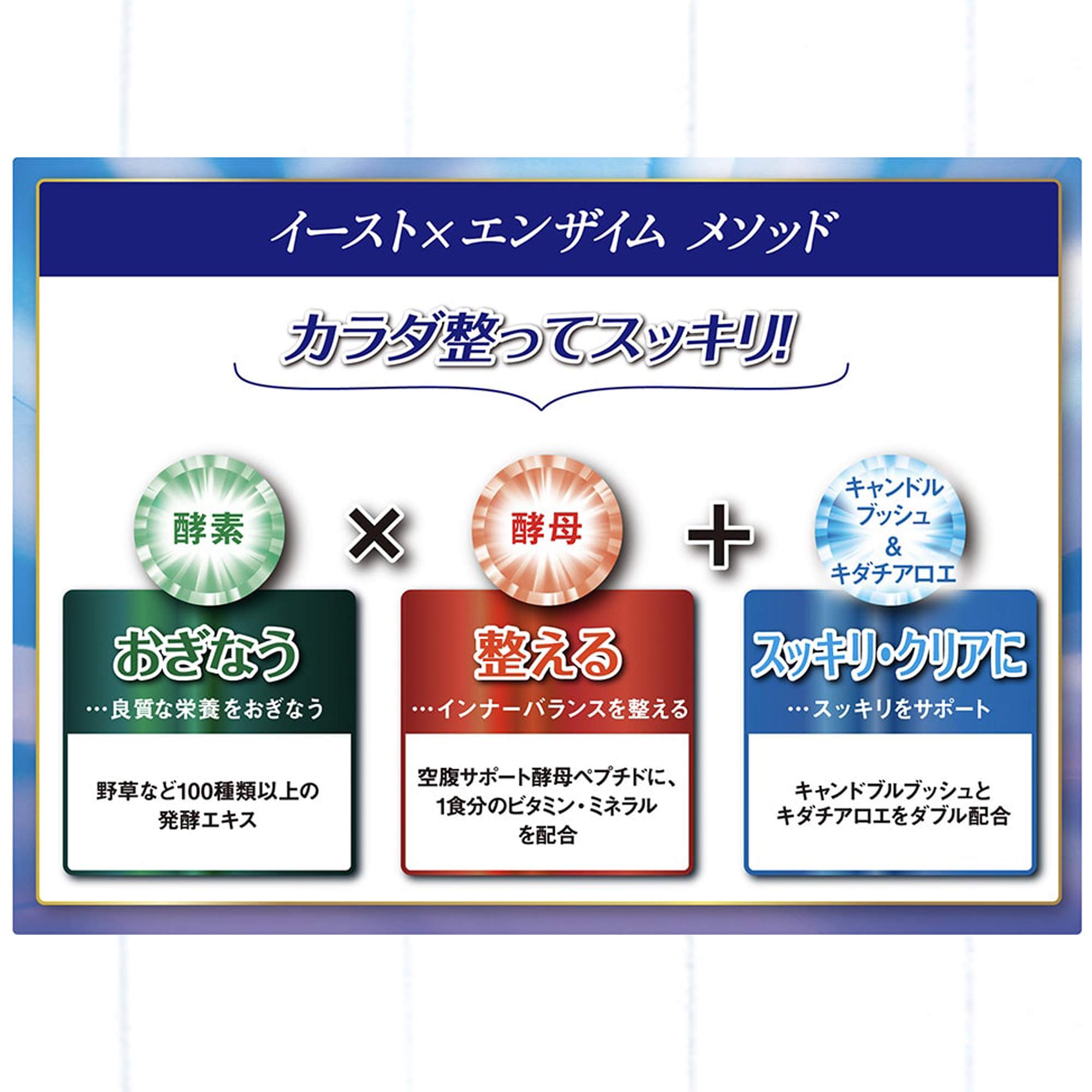 火曜限定ポイント8倍相当 送料無料 株式会社メタボリック イースト ダイエットゼリー エンザイム 火曜限定ポイント8倍相当 送料無料 株式会社メタボリック イースト ダイエットゼリー エンザイム