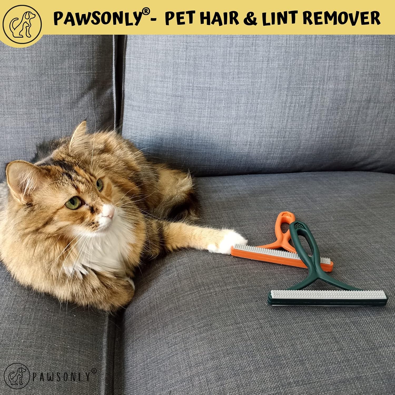 PawsOnly, Orange + Green - Image 3