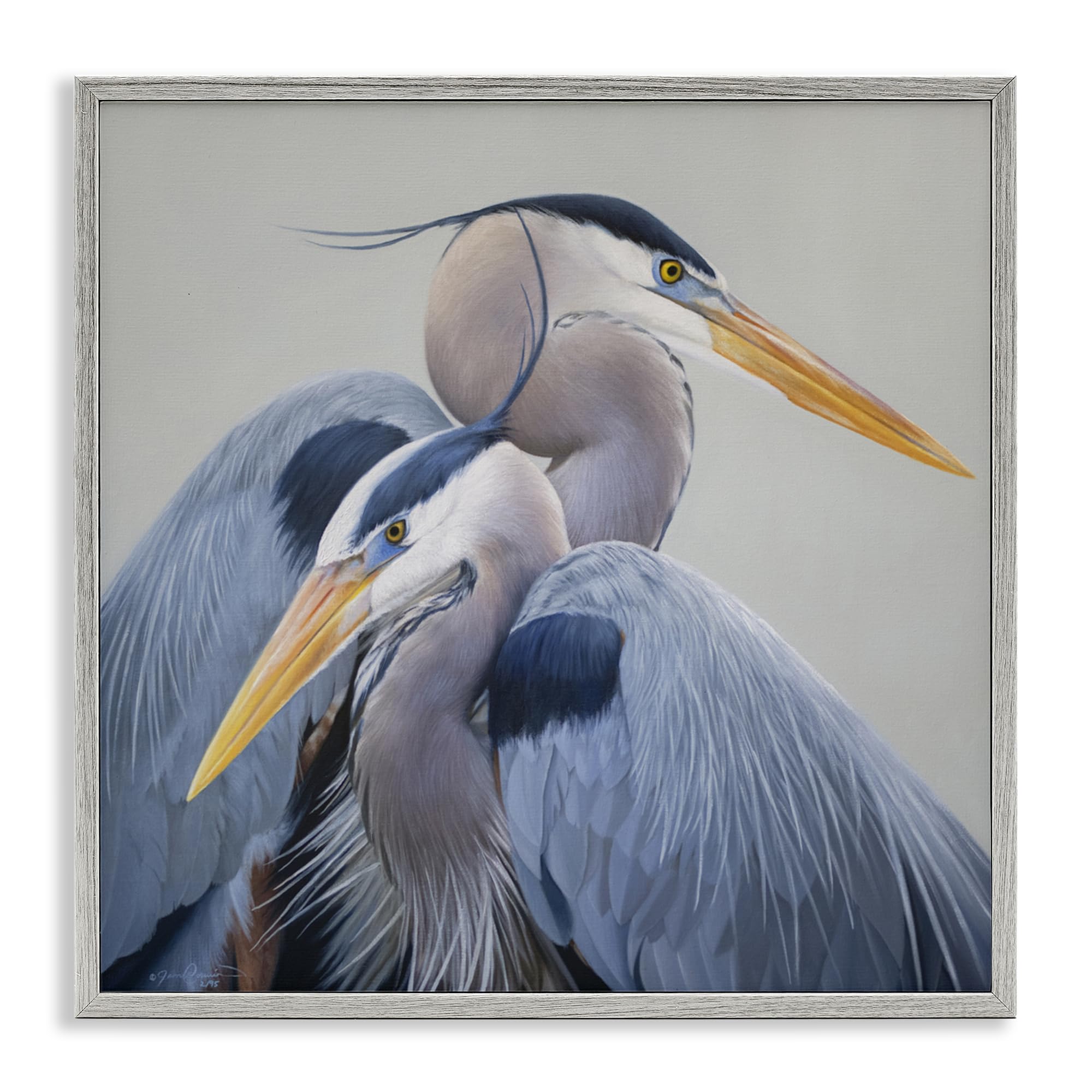 Stupell Industries Elegant Heron Twins Gray Framed Giclee Art, design by James Corwin, 17 x 17