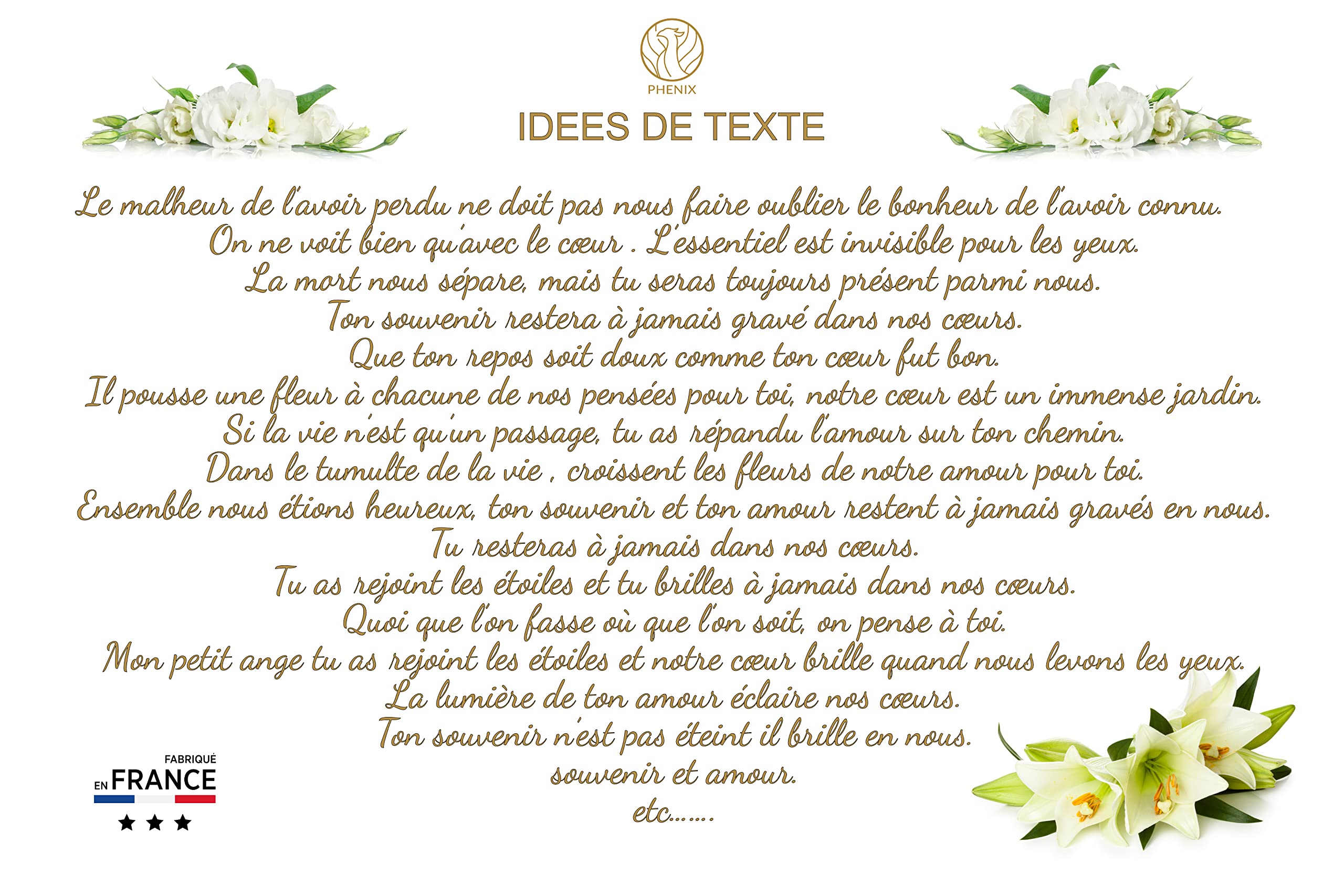 PHENIX Plaque Funéraire Marbre Blanc Personnalisable 30x20 cm Résistante aux Intempéries