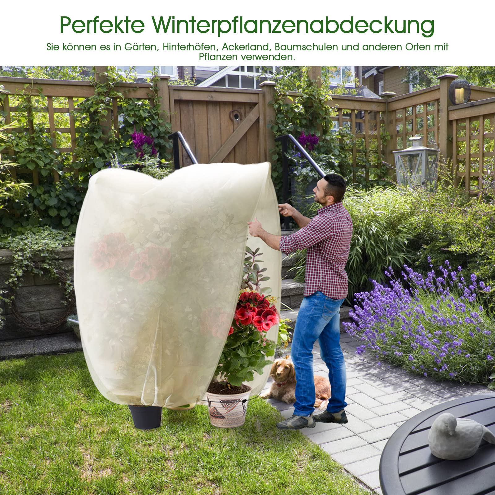 LTDSOAR Lot De 2 Housse Hivernage Plante, 180 X 120cm Voile D