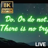 Quotes Live Wallpapers 4K – Motivational, Funny & Love HD Backgrounds