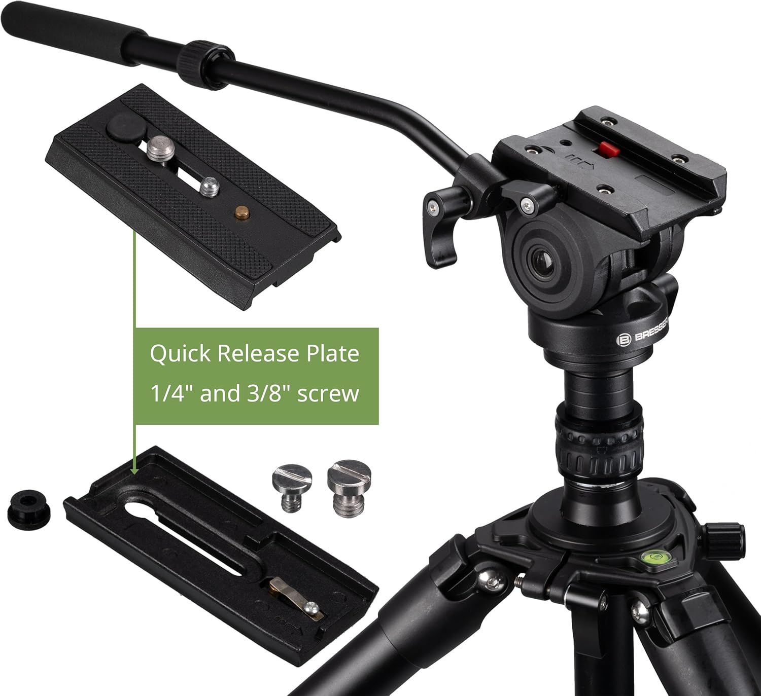 Quick release plate with 1/4 inch and 3/8 inch screws