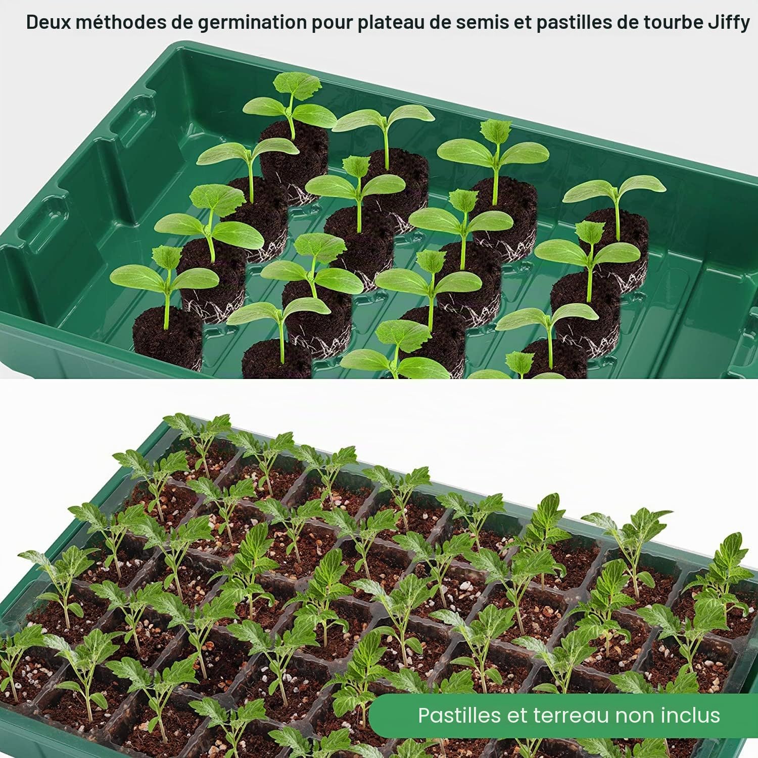 MIXC Mini Serre pour Semis,Lot de 5 Bac à Semis,200 Cellules Plateaux Semis Intérieure avec Dôme Ventilé et Base pour Démarrage des Graines, Vert