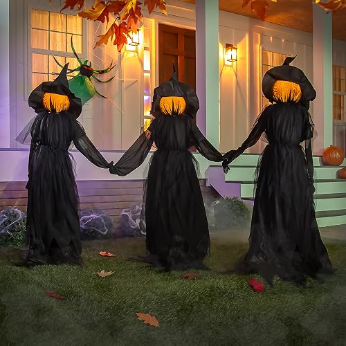 Evergreen Set of 3 LED Black Halloween Witches with Hats