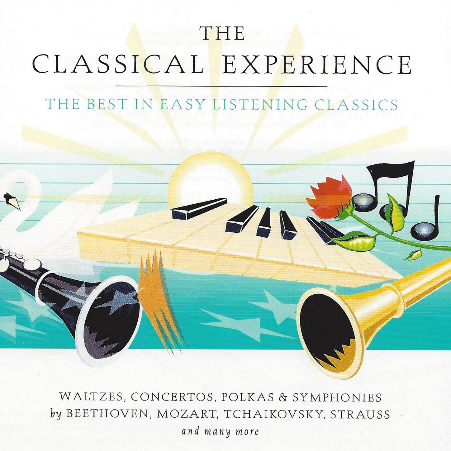 The Amsterdam Symphony Orchestra