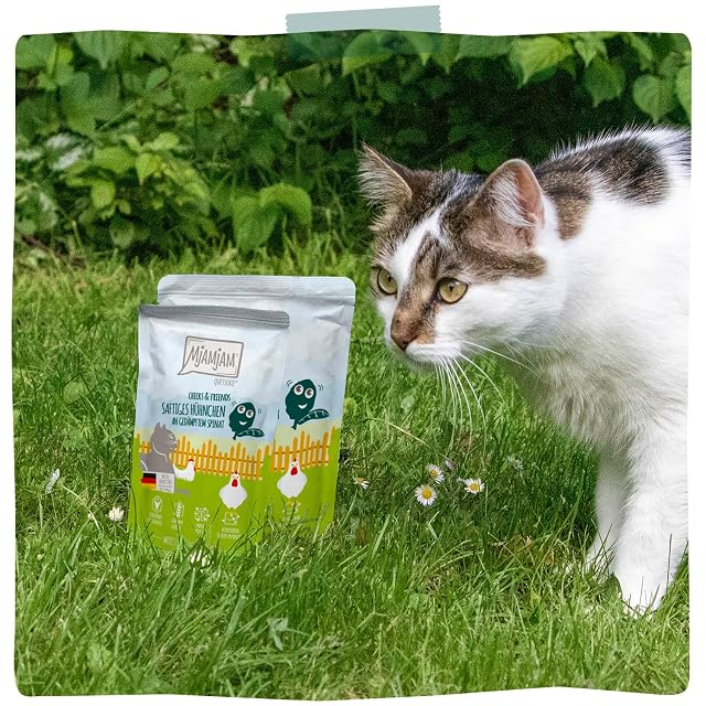 Foto 7 de 7 de MjAMjAM - Comida húmeda Premium para Gatos - Quetschie