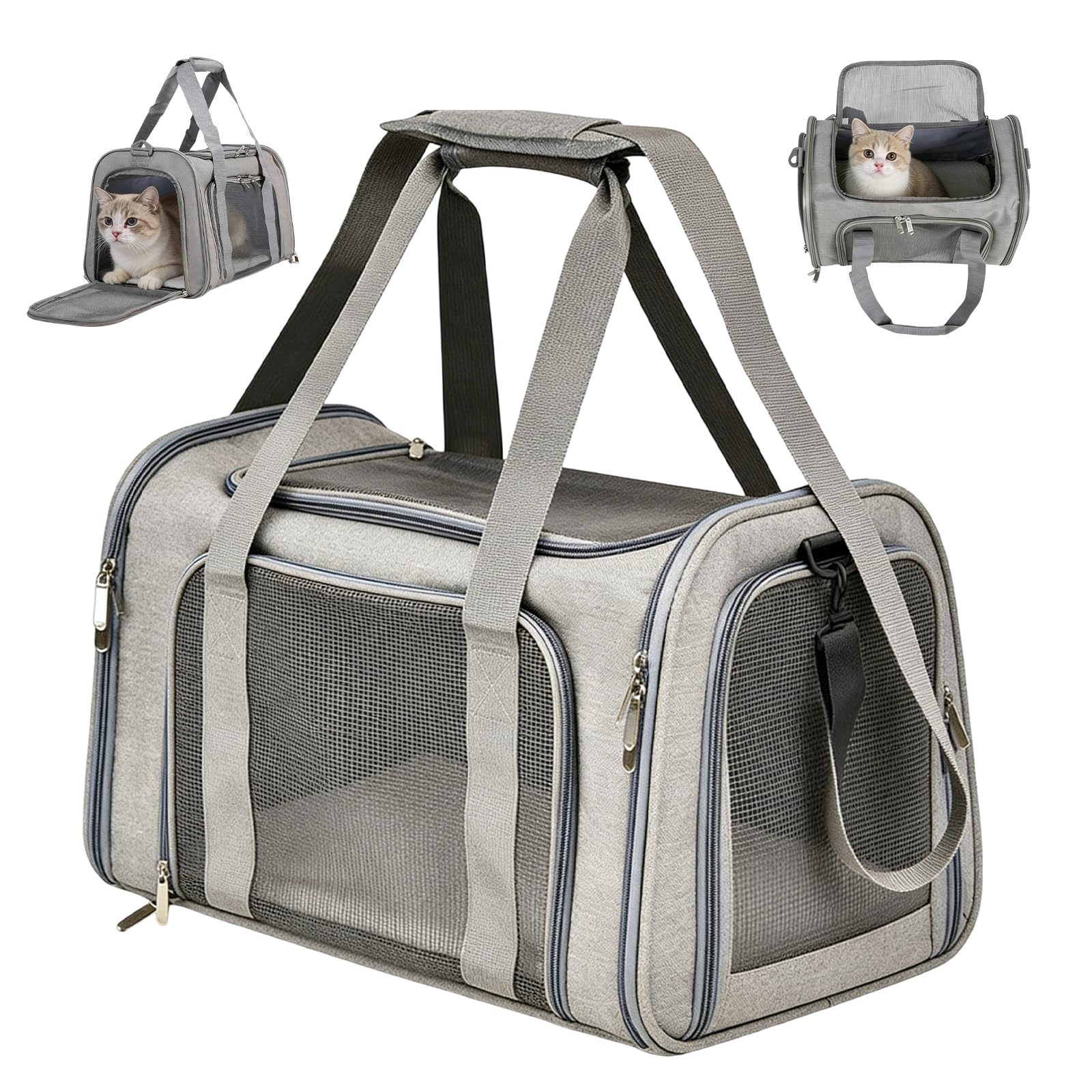 Borsa per il trasporto del gatto: pieghevole e traspirante, borsa per il trasporto di cani, comoda per gatti fino a 5 kg, viaggi e gite 45 × 30 × 30 cm