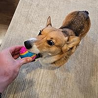 Vista 11 de Bola de juguete para perros Ethical Pets Sensory Ball, 2.5", Colores Variados