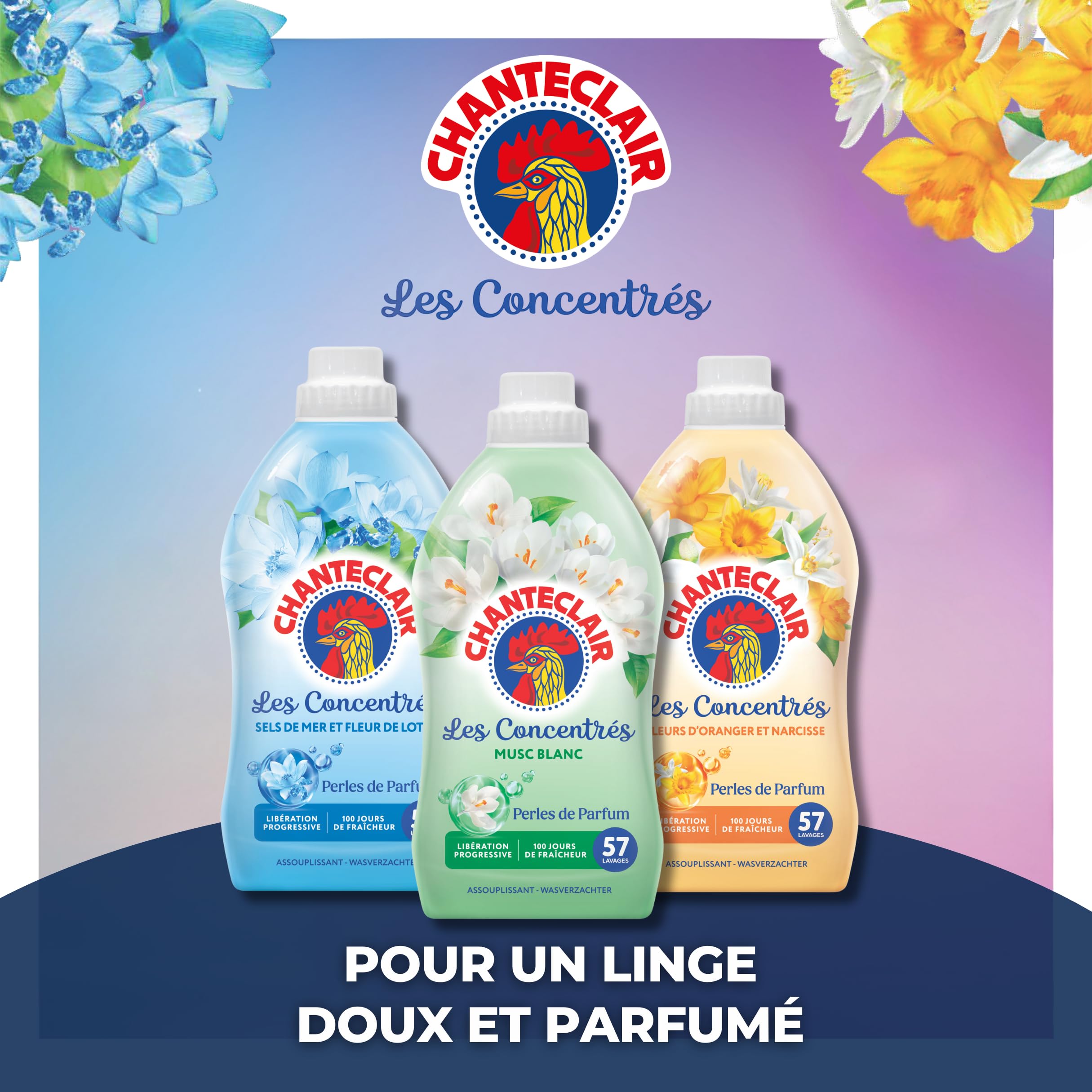 Chanteclair - Assouplissant Linge Concentré Perles de Parfume, Fleurs d'Oranger et Narcisse, Fraîcheur très Longue Durée, Libération Progressive Jusqu'à 100 Jours, 57 lavages - 1140 ml x 8