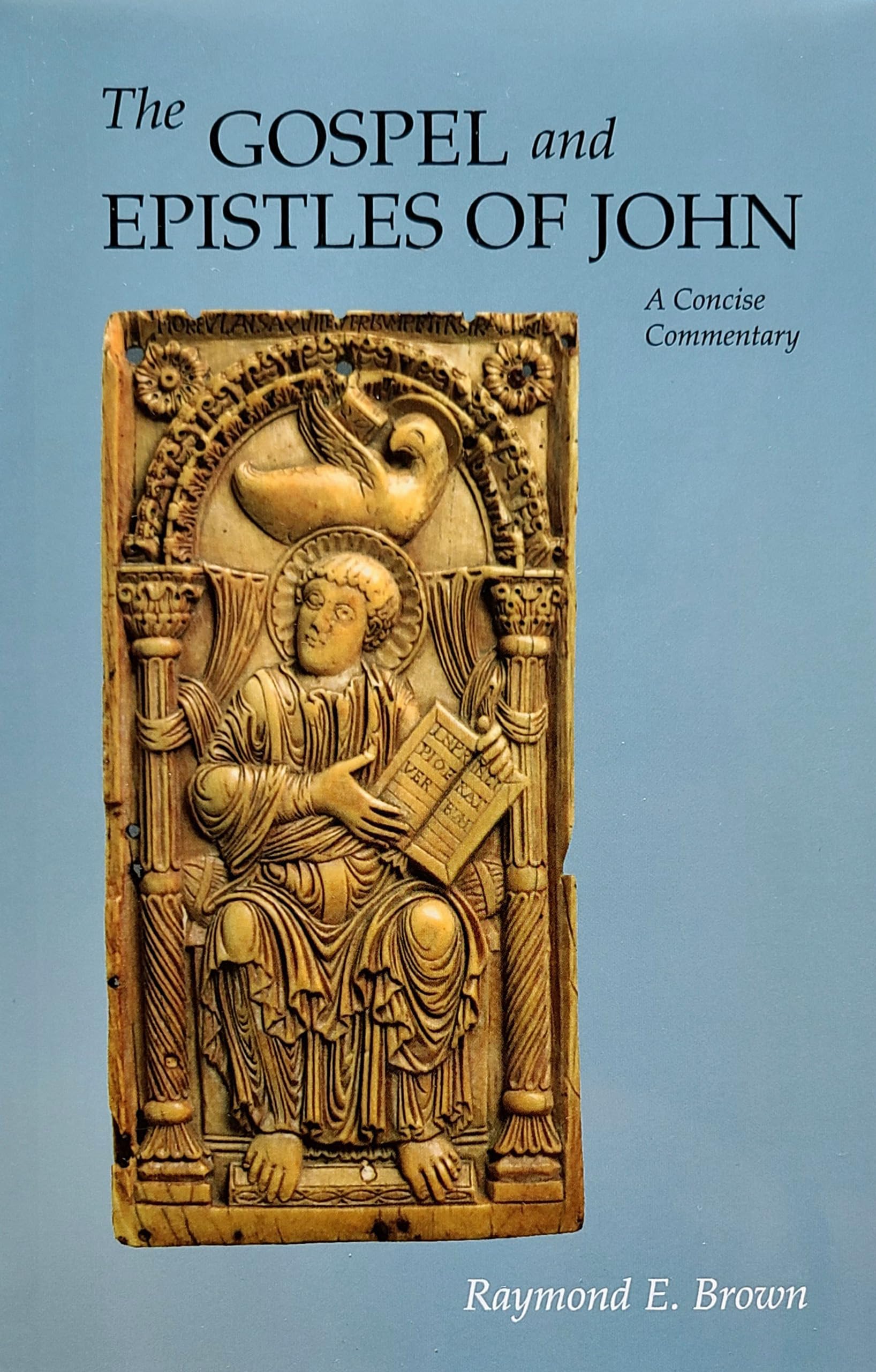 The Gospel and Epistles of John: A Concise Commentary