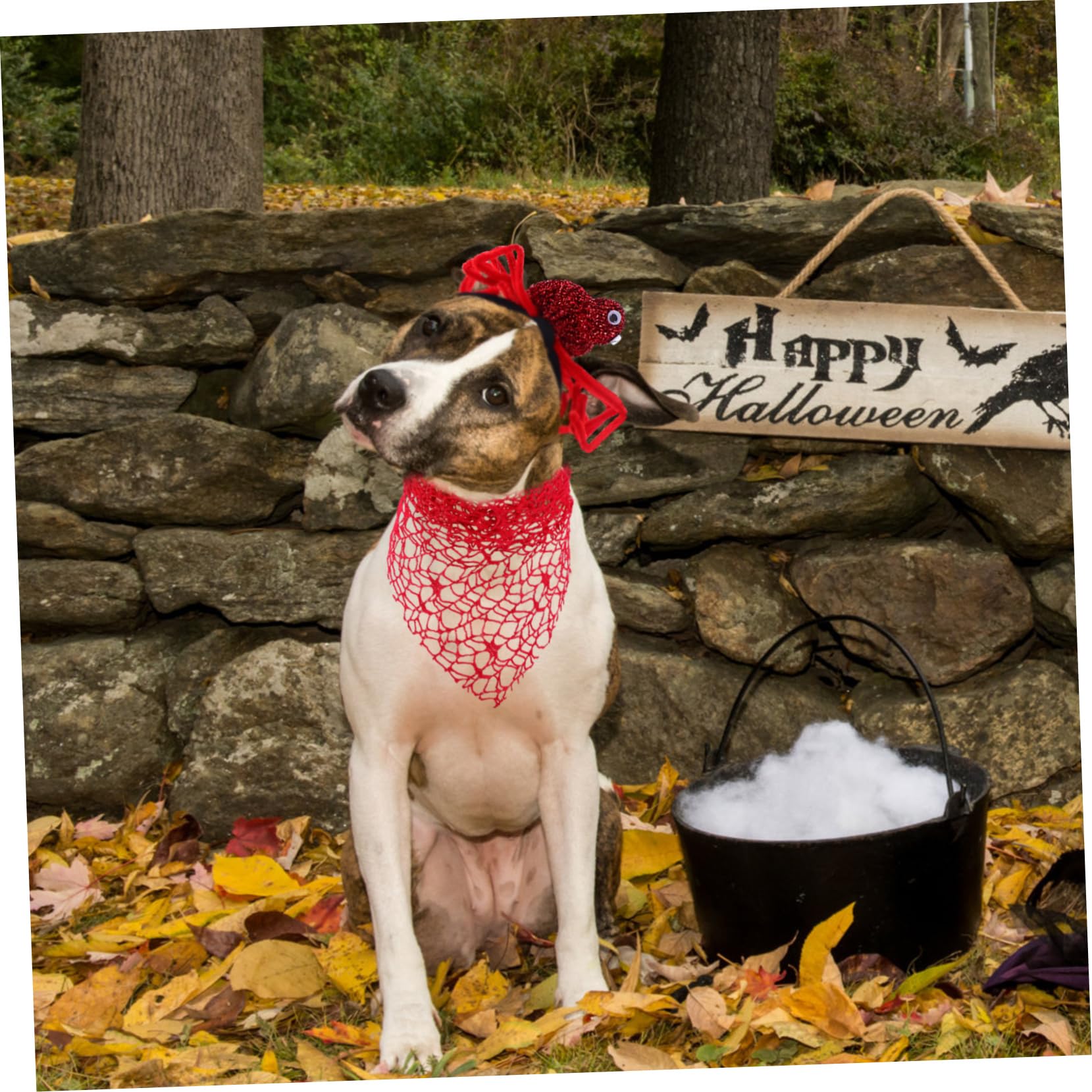 Hemobllo 2pièces Bandanas Halloween pour Chien Bandanas Araignée Triangulaires Accessoires Déguisement Fête Halloween Décorations Animal De Compagnie