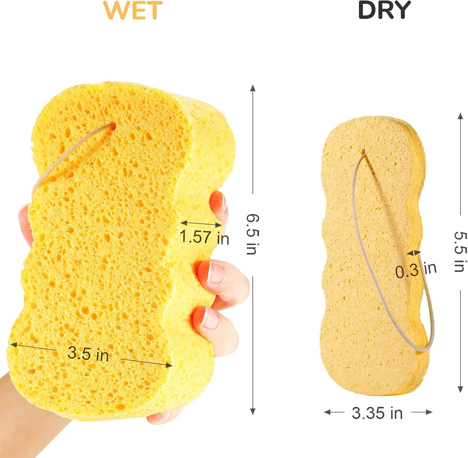 GAINWELL Natural Cellulose Bath Sponge – Soft Body Sponge for Shower 2PCS : Beauty & Personal Care