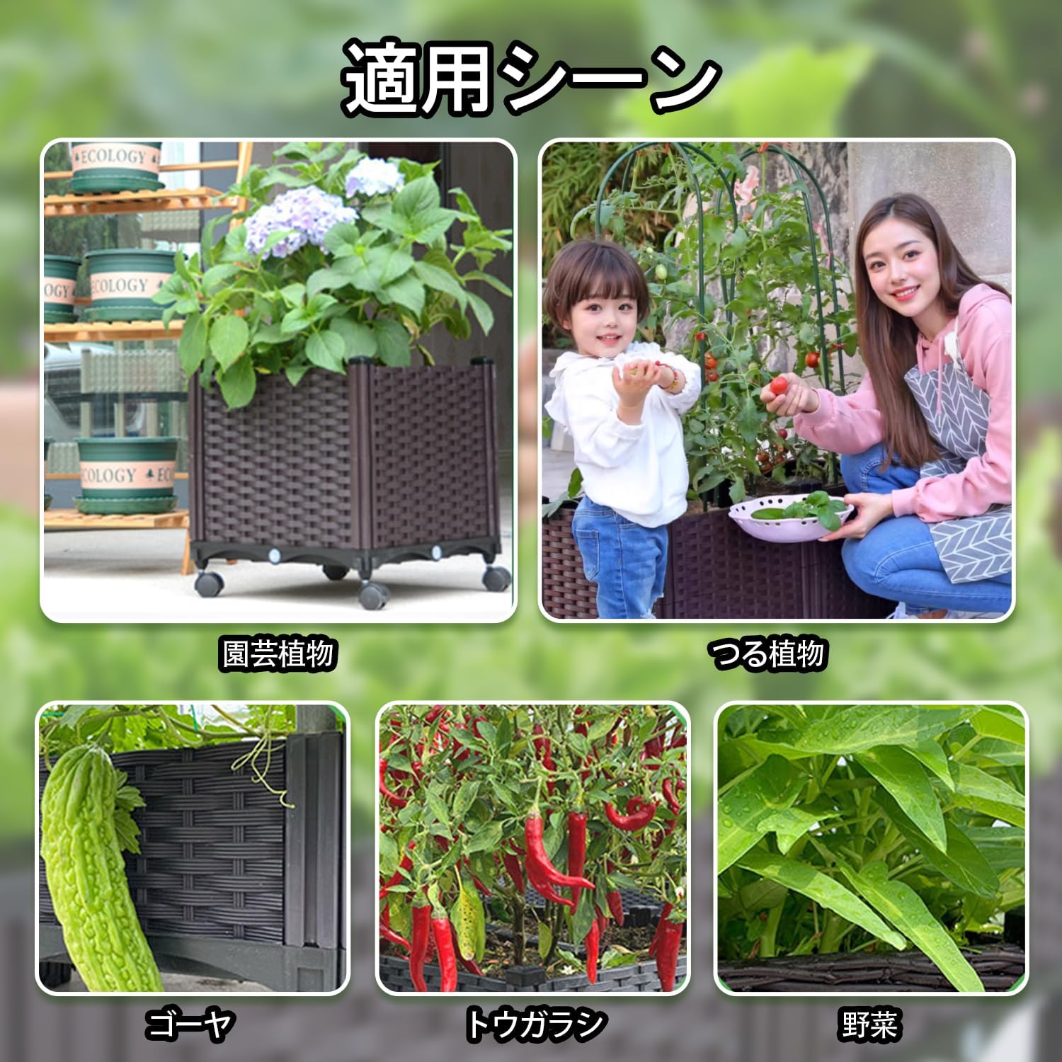 Amazon.co.jp: レイズドベッド 大型 家庭菜園 プランター 【連結・拡張