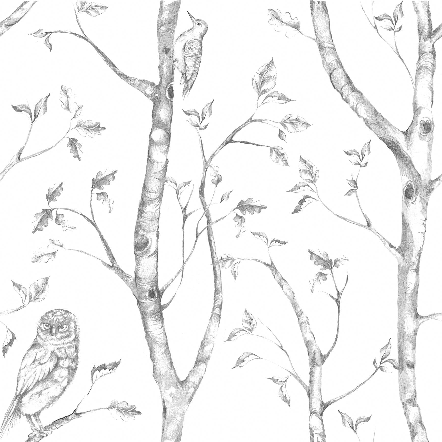 NuWallpaper NU2188 Peel and Stick Wallpaper Old Salem Vintage Wood