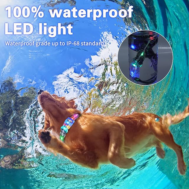 Foto 5 de 8 de YCollares de Perro Iluminados,Collar de Perro con luz LED Recargable Impermeable,2en1Tipo Luz Collares…