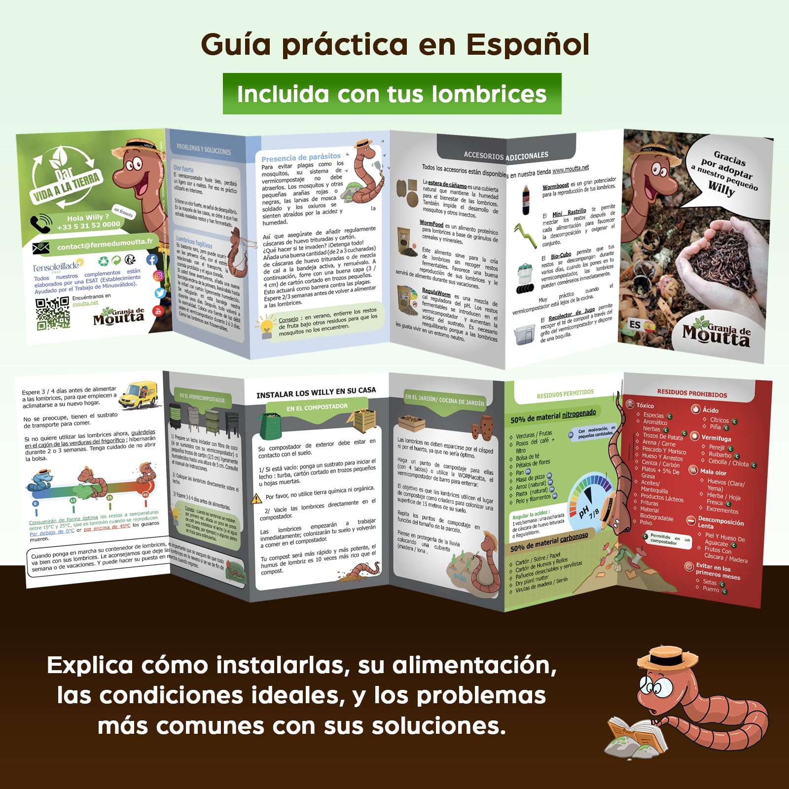 Lombrices 250g (500 uds. aprox.) | Lombriz de tierra vivas Eisenia, elabora compost con tus residuos orgánicos - Para vermicompostador/compostador/jardín
