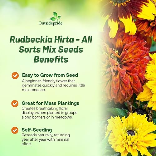 Miniatura 3 de Outsidepride Rudbeckia Equinácea All Sorts - Mezcla de semillas de flores Susan de ojos negros, 100 semillas