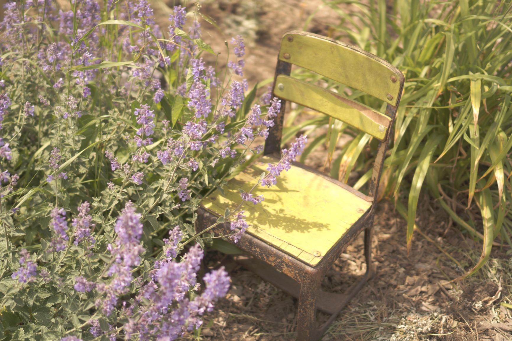 Still a Great Camera for 2018! Great Beginners and Advanced Enthusiast!