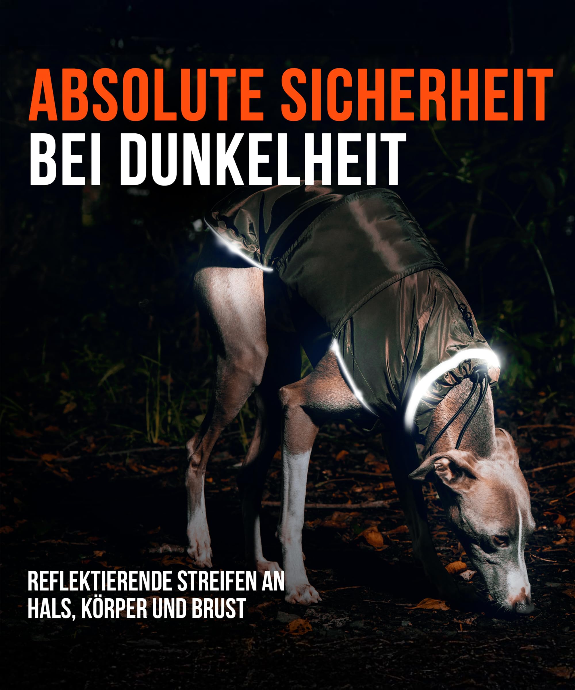 Hunderegenmantel London I Mit extra langem YKK® Reißverschluss für Halsband & Geschirr I Für kleine, mittlere & große Hunde I Wasserdicht & Maschinenwaschbar I Regenmantel für Hunde (45)