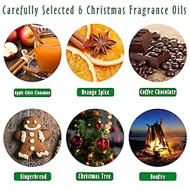 Christmas Fragrance Oils Set, MitFlor Upgraded Holiday Essential Oils for Diffusers for Home, Fragrance Oil for Candle Soap Making, Christmas Tree, Apple Cider Cinnamon, Bonfire and More, 6x10 ml