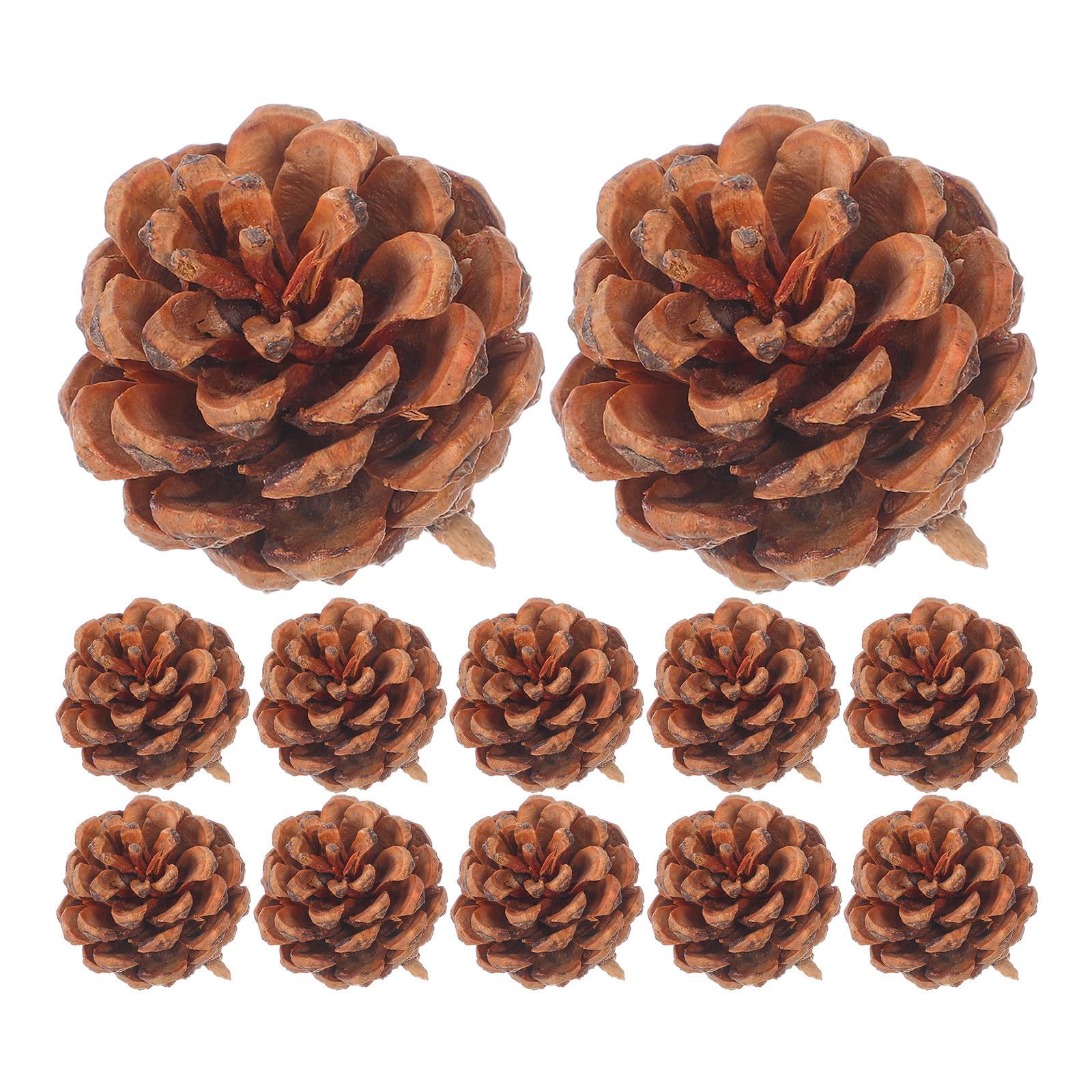 FRCOLOR 130 Pezzi Pigne Natalizie Piccole 3-4cm Decorazioni Pigne di Pino