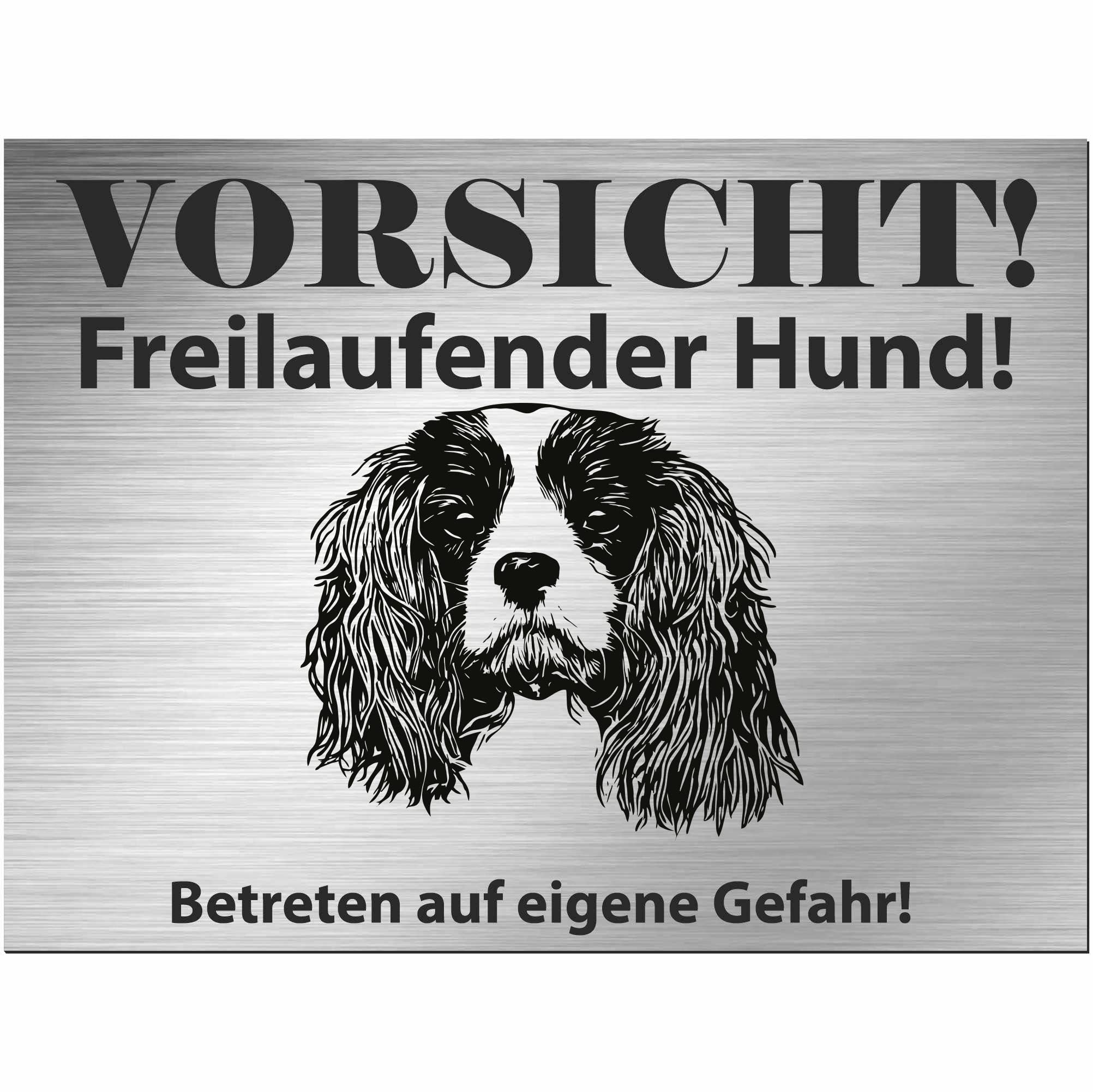 Cavalier King Charles Spaniel plaque grand format idée cadeau pour maître