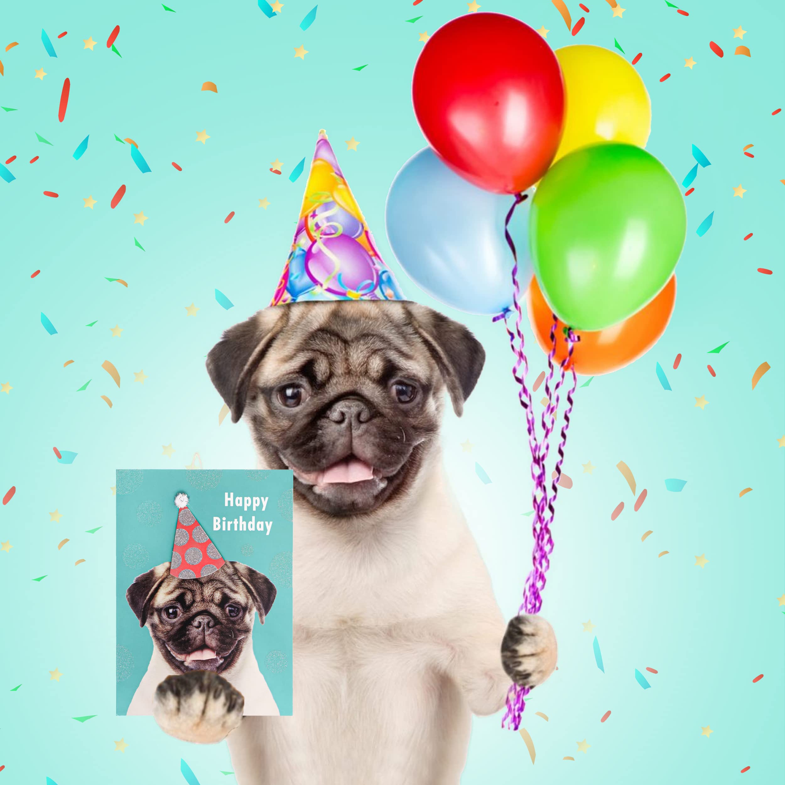 Old English Co. - Tarjeta De Cumpleaños Con Diseño De Perro