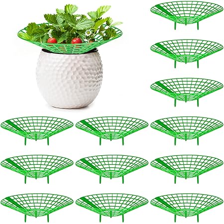 Amazon.com : Iceyyyy 5 Packs Strawberry Supports - Strawberry Plant ...