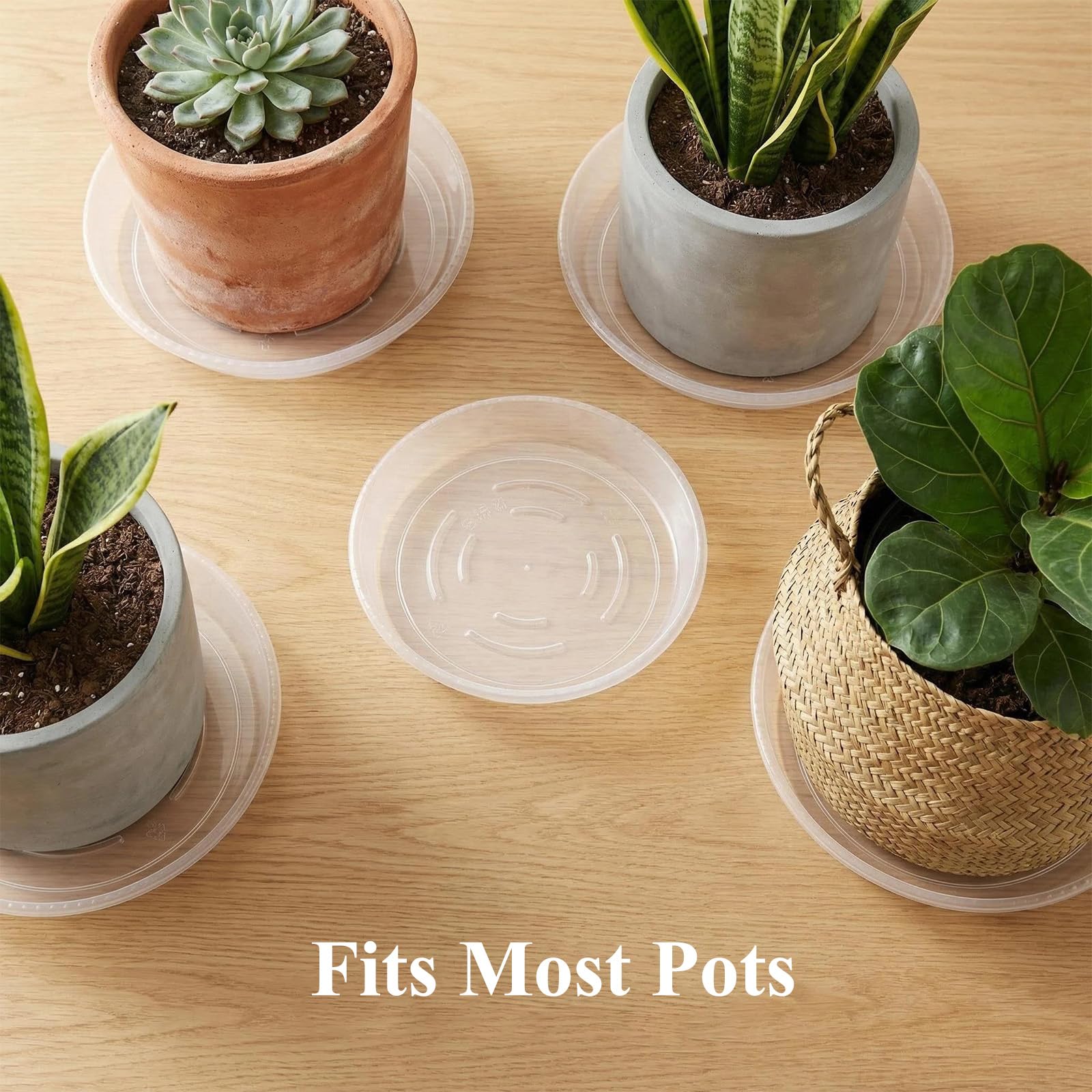 Plant Saucers - 20 Pack Drip Trays -4