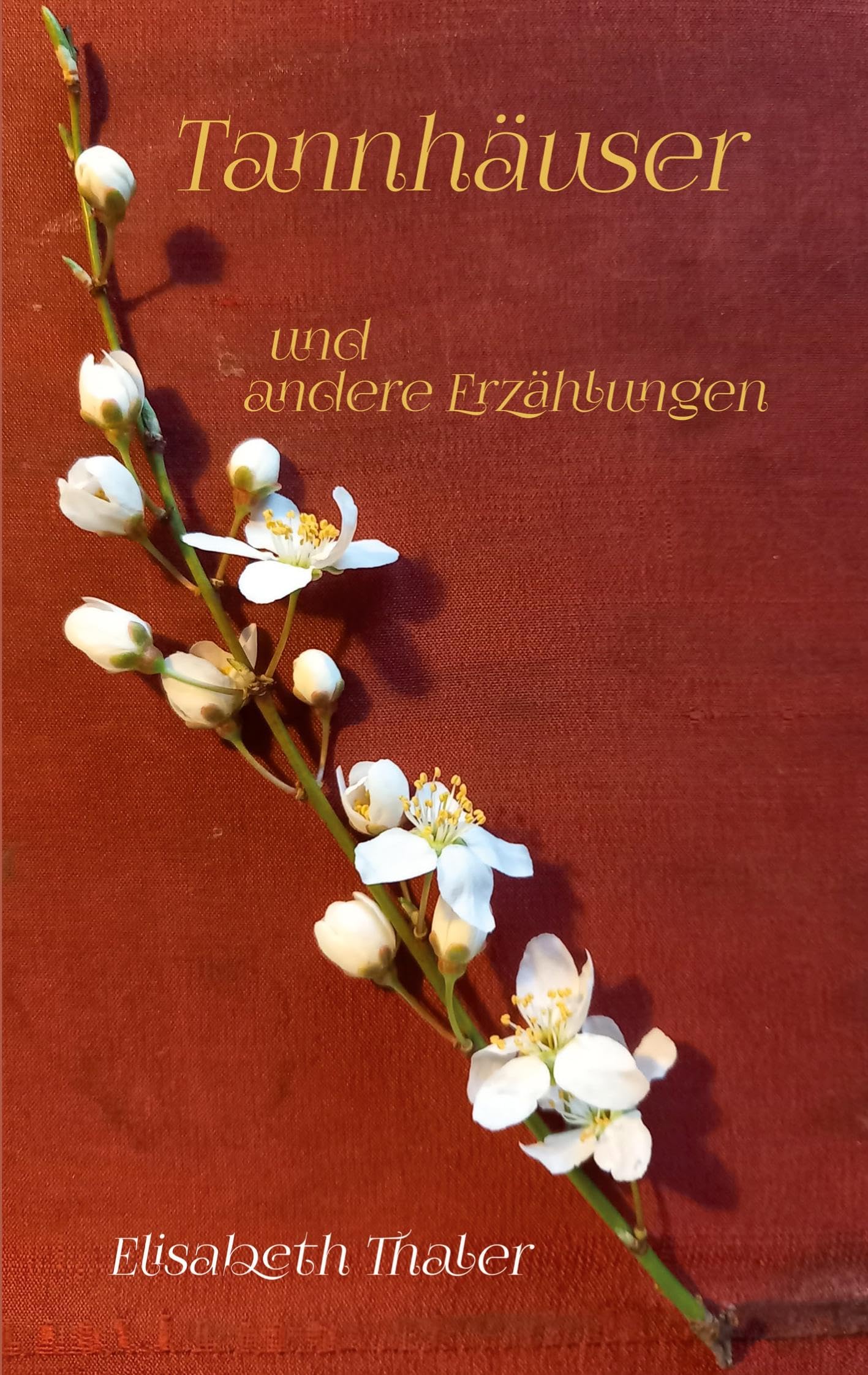 Tannhäuser: und andere Erzählungen