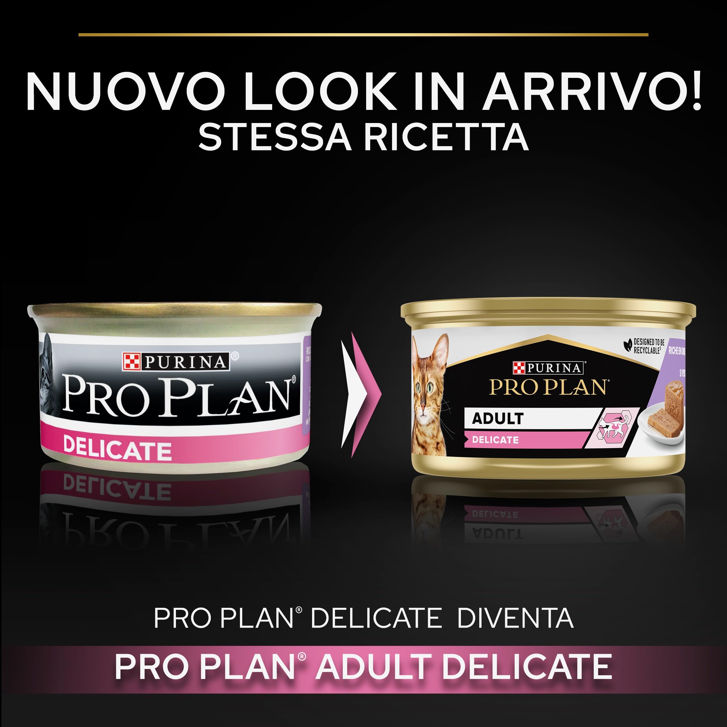 Purina Pro Plan Comida Húmeda para Gato Adulto Delicate Mousse Rico en Pavo, 24 latas de 85 g