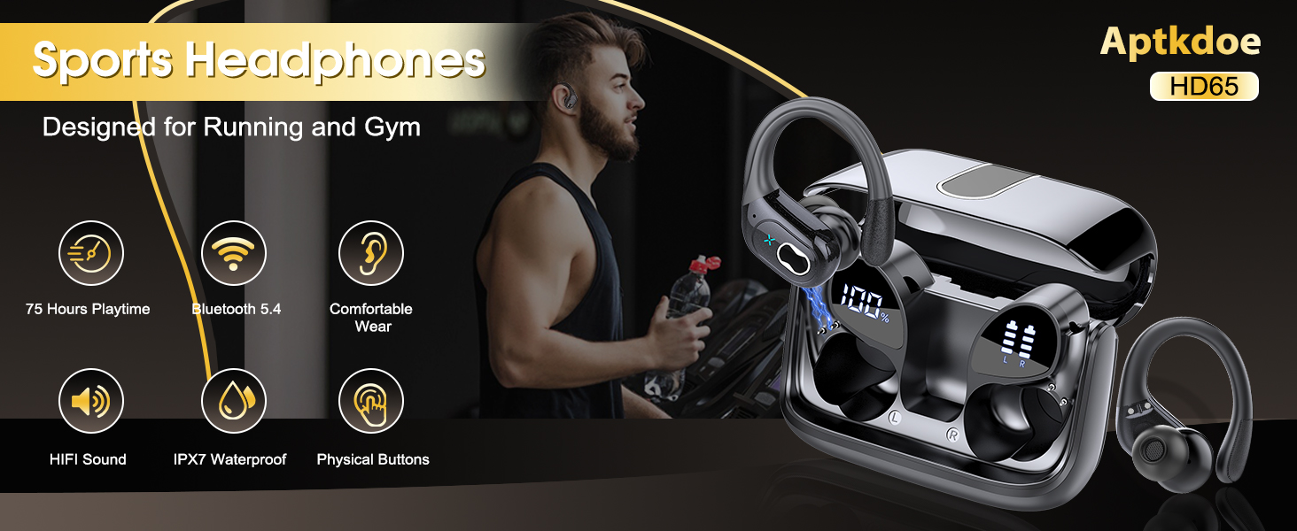 HD65 Wireless Earbuds