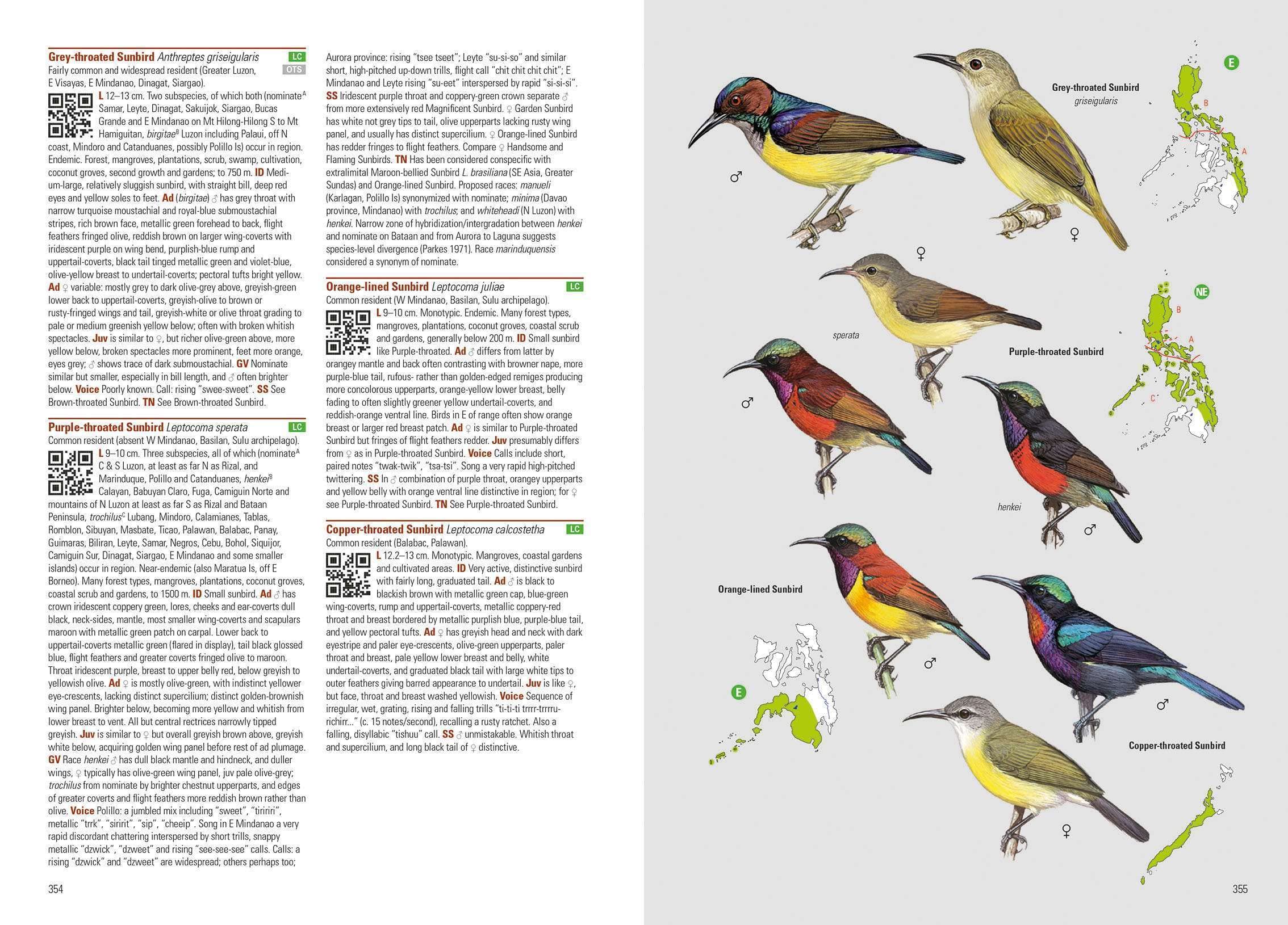 Birds of the Philippines