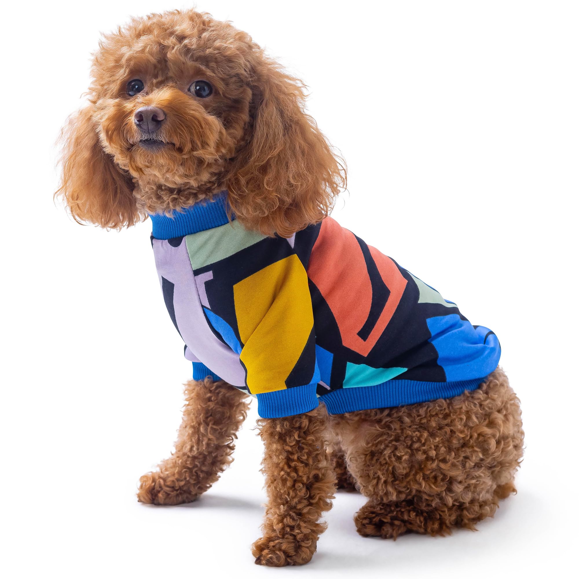 Rocky Thermal Jacket Clothes Fleece Lined Sweater for Dogs, Puppies, Warm Coat Bodysuit Onesie One Piece Vest Pet Jammies with Leg Warmers for Small,