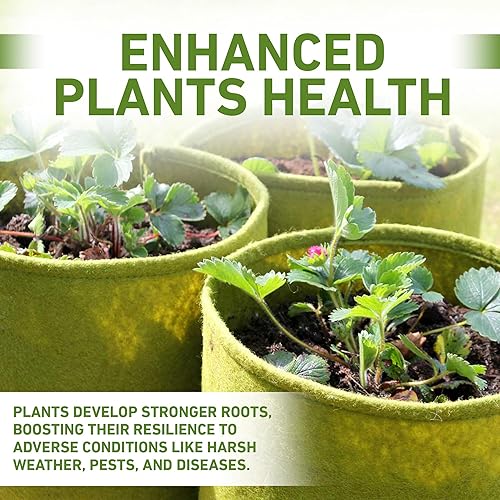 Miniatura 7 de Tierra Garden 50-VIG12 Haxnicks Vigoroot - Macetero para tomates/patatas