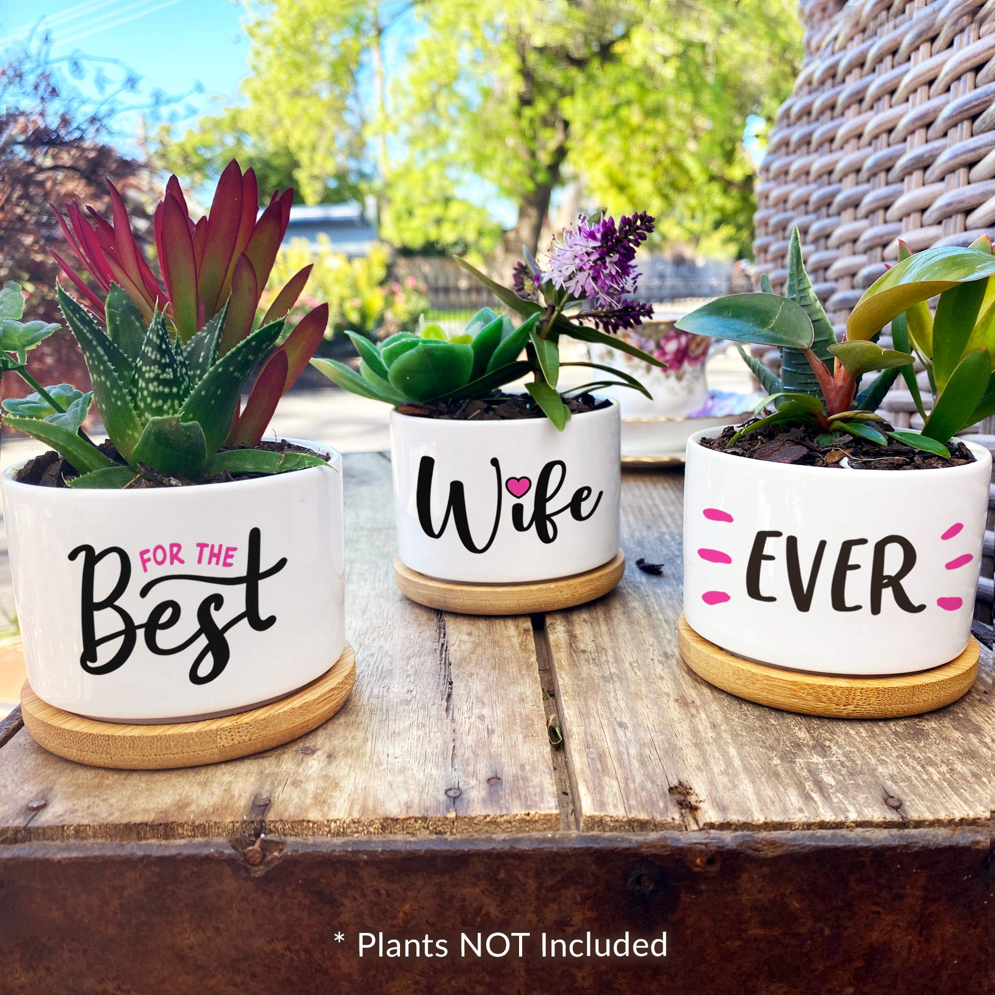 GIFTAGIRL Wife Mothers Day or Birthday Gifts for Wife from Husband - Pretty Mothers Day, Anniversary or Birthday Gift, Our Pretty Best Wife Pots, Great for Any Occasion, Arrive Beautifully Gift Boxed