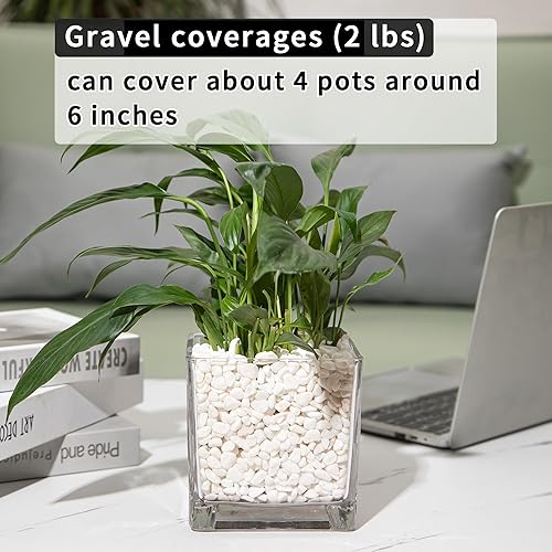 Miniatura 5 de TINYUNICORN Piedras de gravilla para suculentas y cactus de 2 libras, piedras pulidas decorativas naturales de 15-38 pulgadas, rocas de río para