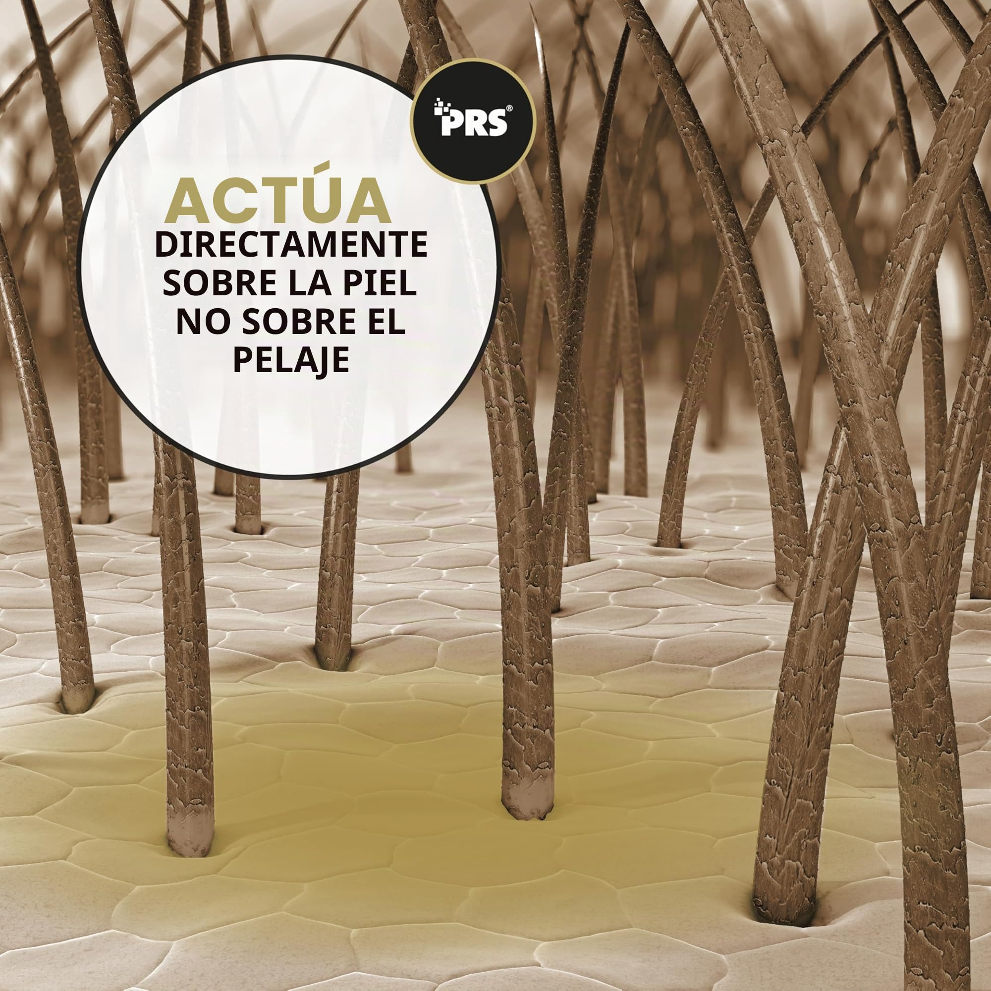 Peticare Loción para Perros Piel Sensible | En Casos de Dermatitis, eccema o neurodermatitis | Calma el picor & favorece la regeneración | Sistema PRS® Efecto prolongado – petDog Health 2100