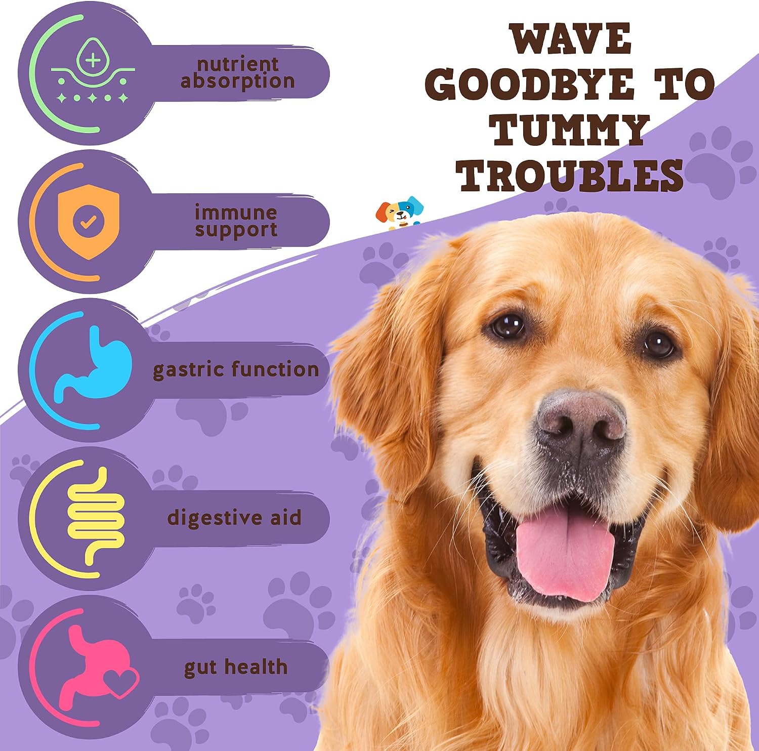Jack&Pup Bundle - Bully Sticks + Pro-Digest Supplements | 12-Inch Odor Free [Standard Size] Bully Sticks (5 Pack) | Pro-Digest Probiotics for Dogs (60 Chews)… image 5