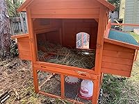 Review Image by Shelley Shelley