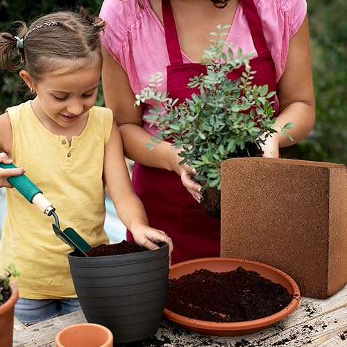 Miniatura 6 de EZGardenPro - Bloque de fibra de coco  Suelo orgánico de jardín para jardines e invernaderos interiores y exteriores cada bloque de 11 libras