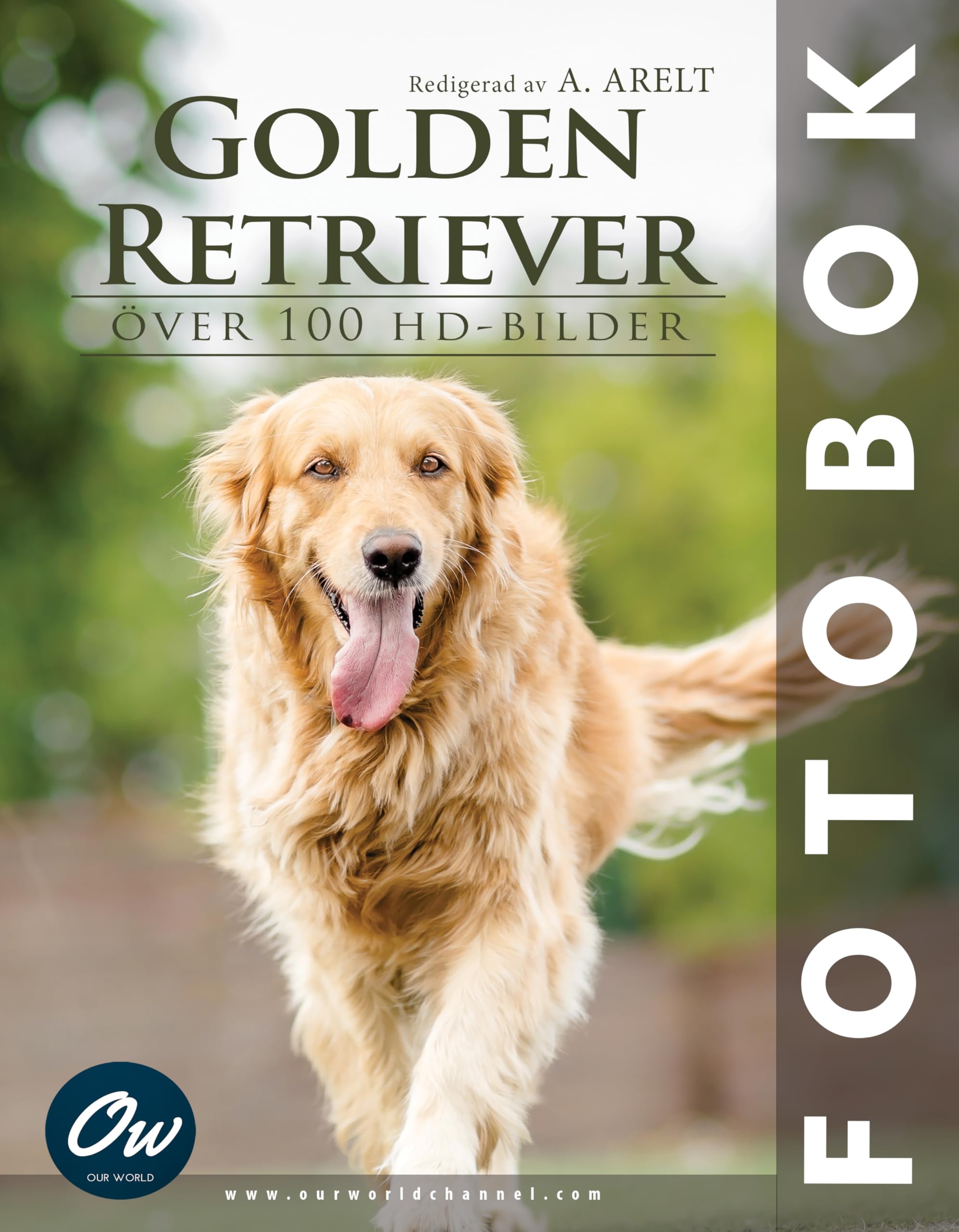 Livre photo Golden Retriever album illustré de collection