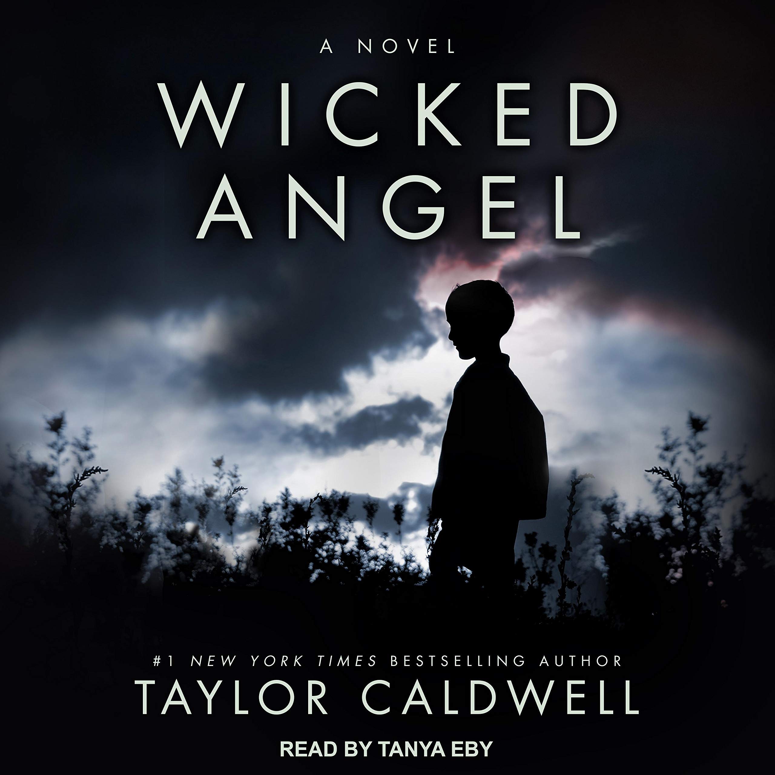 Cover art for Wicked Angel