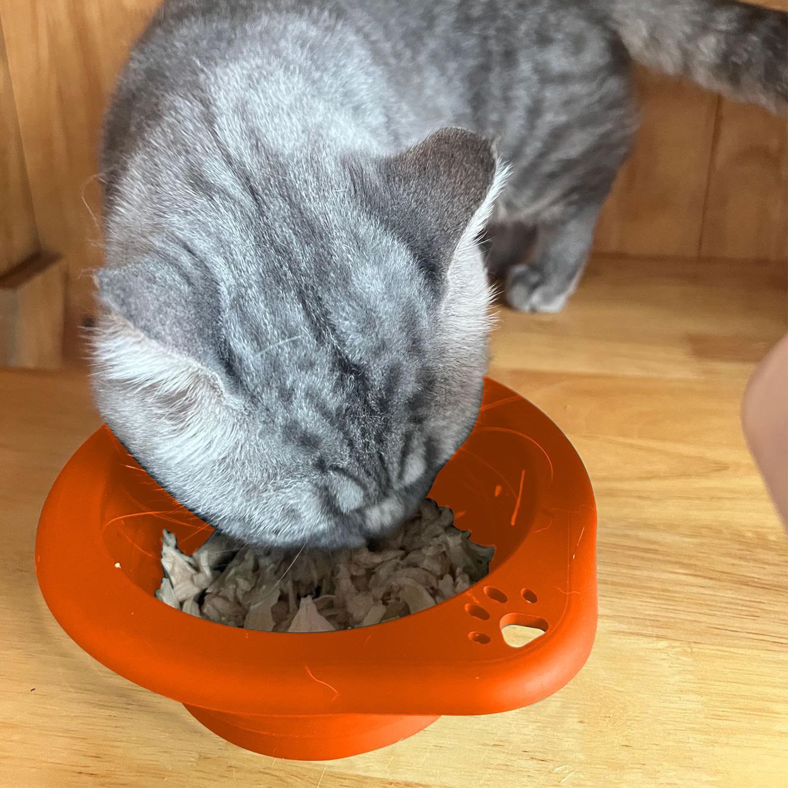 Gamelle d'eau Pliable pour Animaux Gamelle Portable pour Animaux De