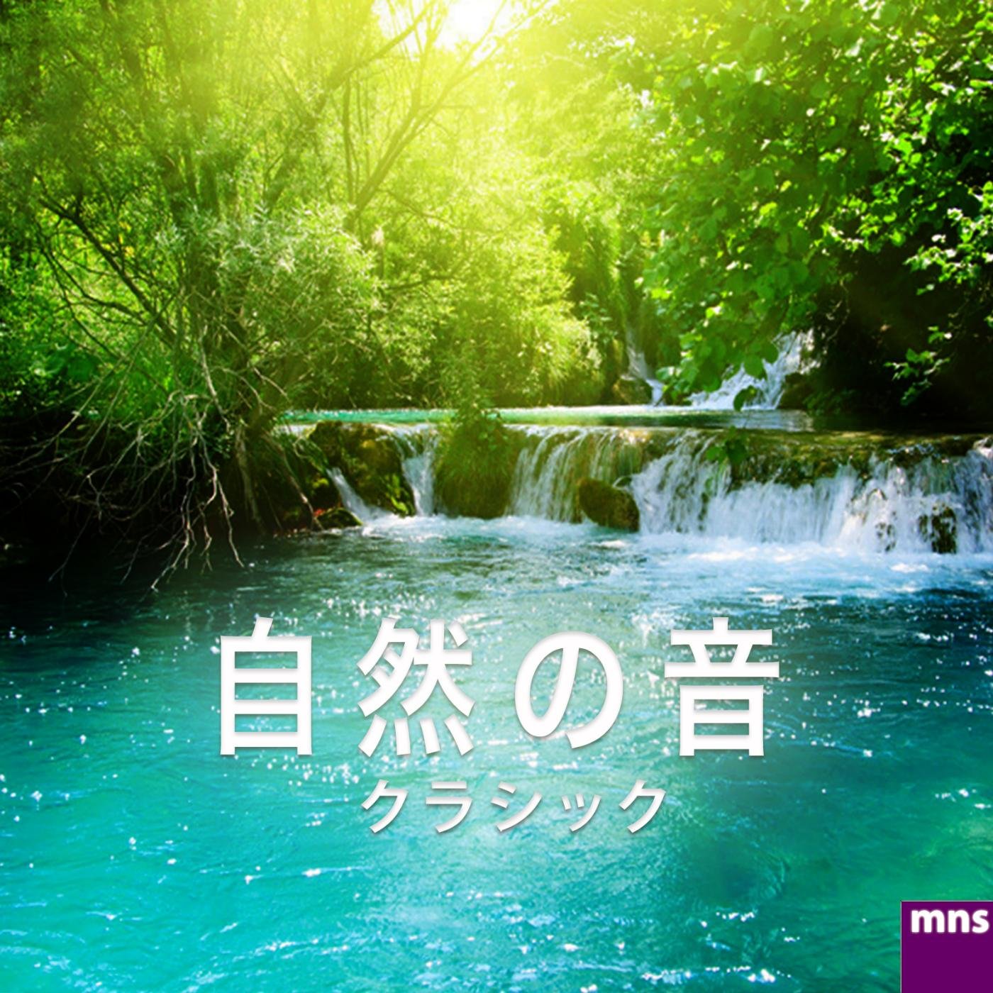 リラクゼーション!音楽